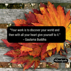 Buddha wisdom quote on mindfulness with dry leaves background.