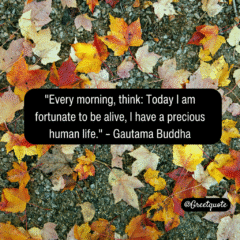 Buddha wisdom quote on mindfulness with dry leaves background.