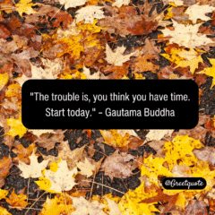 Buddha wisdom quote on mindfulness with dry leaves background.