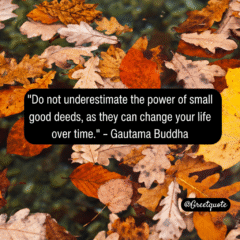 Buddha wisdom quote on mindfulness with dry leaves background.