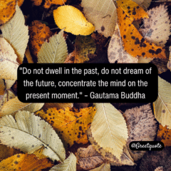 Buddha wisdom quote on mindfulness with dry leaves background.