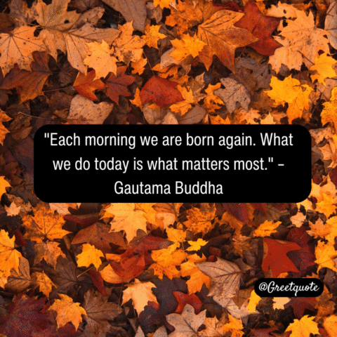 Buddha wisdom quote on mindfulness with dry leaves background.