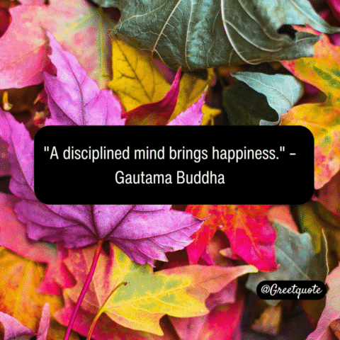 Buddha wisdom quote on mindfulness with dry leaves background.