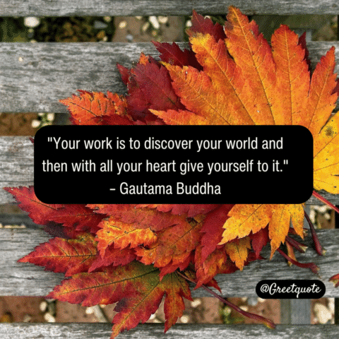 Buddha wisdom quote on mindfulness with dry leaves background.