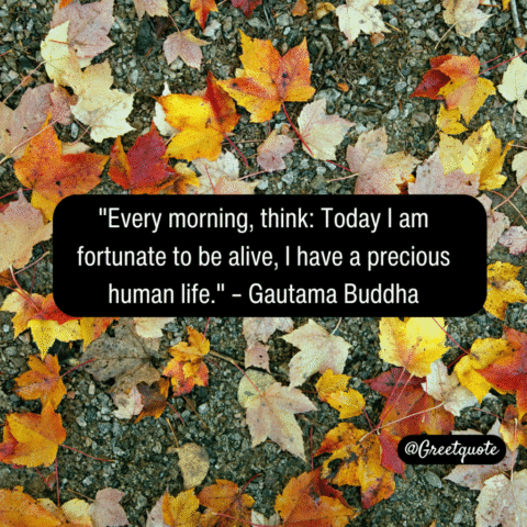 Buddha wisdom quote on mindfulness with dry leaves background.