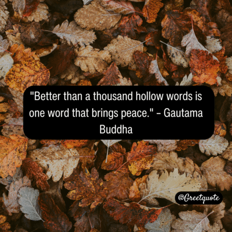 Buddha wisdom quote on mindfulness with dry leaves background.
