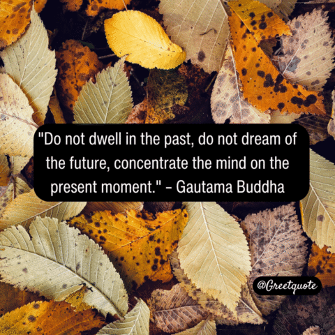 Buddha wisdom quote on mindfulness with dry leaves background.