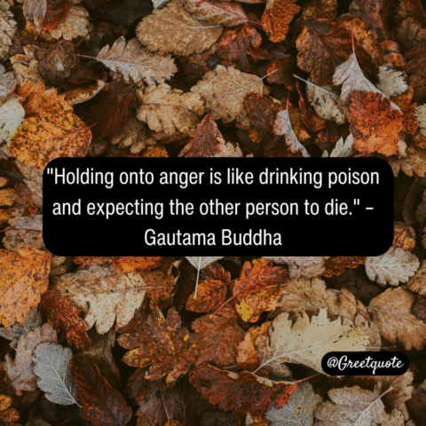 Buddha wisdom quote on mindfulness with dry leaves background.