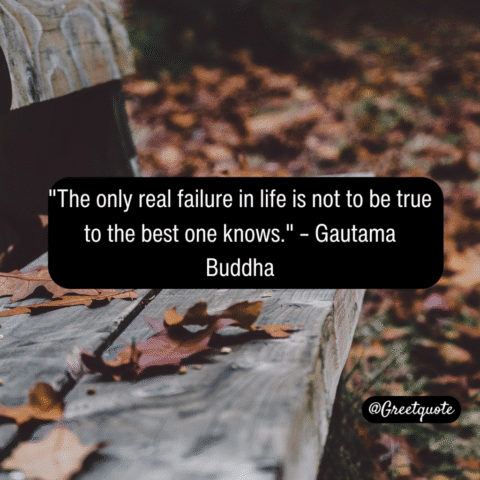 Buddha wisdom quote on mindfulness with dry leaves background.